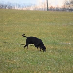 Meet your Posher, Cathy